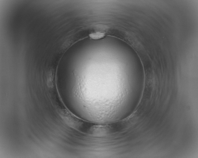 X0000071940082200607141444