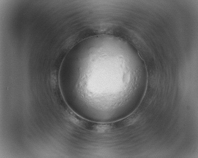 X0000071940085200607141444