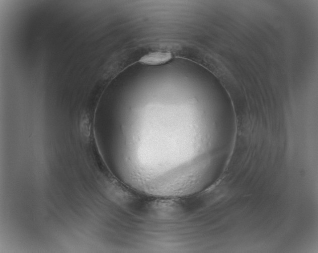 X0000071940086200607141444