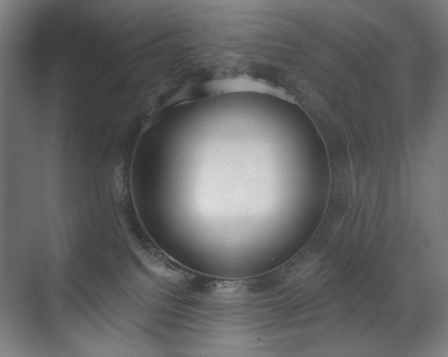X0000071940088200607141444
