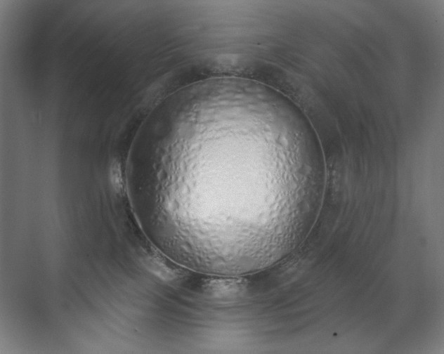 X0000071940089200607141444