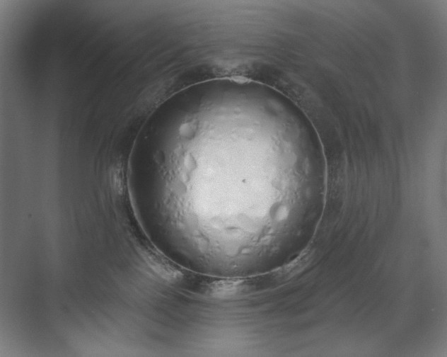 X0000071940090200607141444