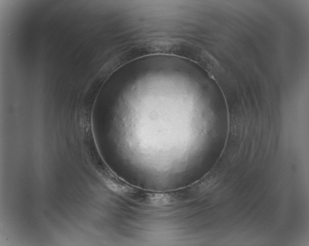 X0000071940091200607141444