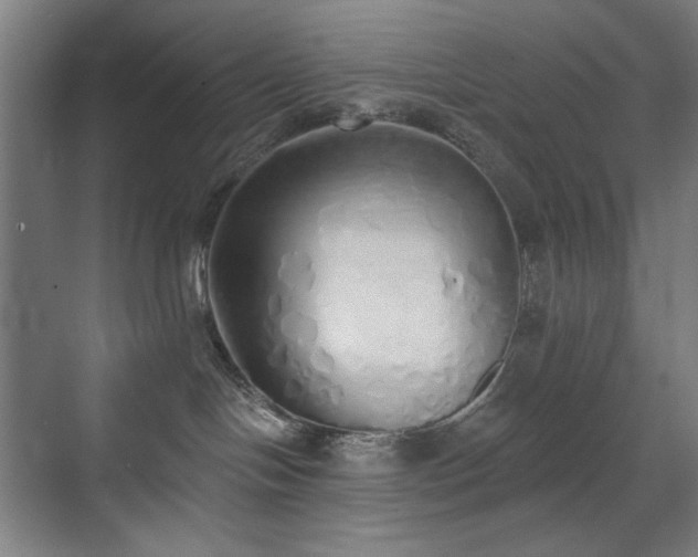 X0000071940094200607141444