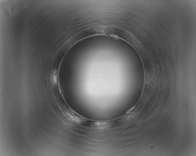 X0000071940095200607141444