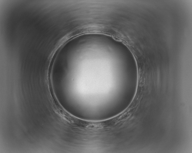X0000071940099200607141443