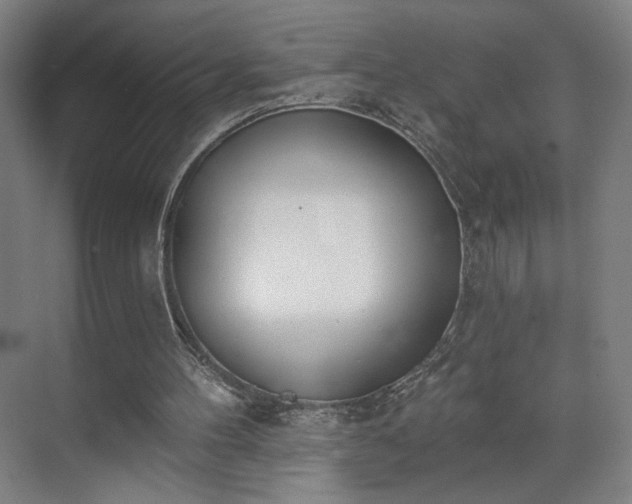 X0000071940100200607141443