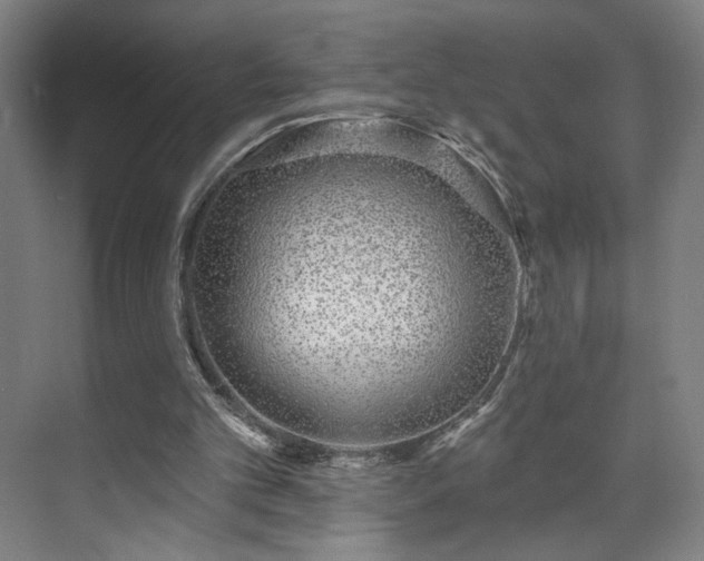 X0000071940101200607141443