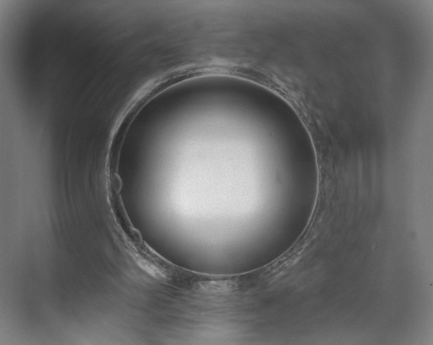 X0000071940102200607141443