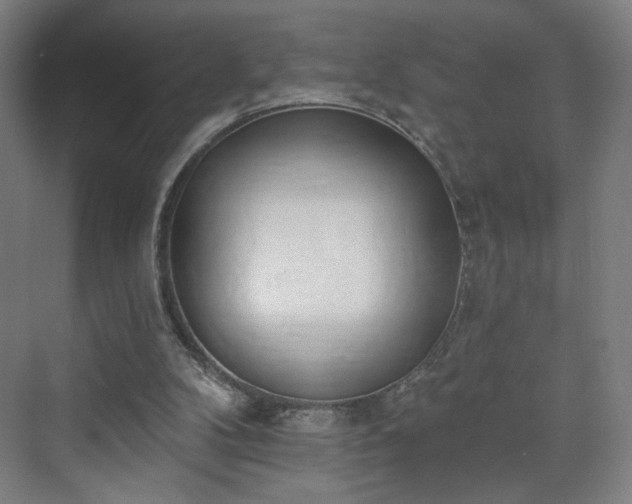 X0000071940104200607141443