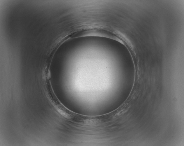 X0000071940105200607141443