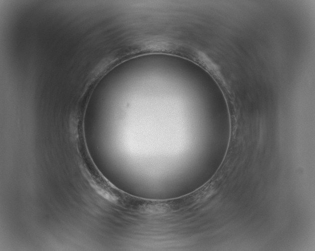 X0000071940106200607141443