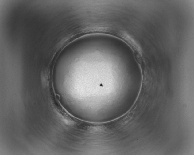 X0000071940107200607141443
