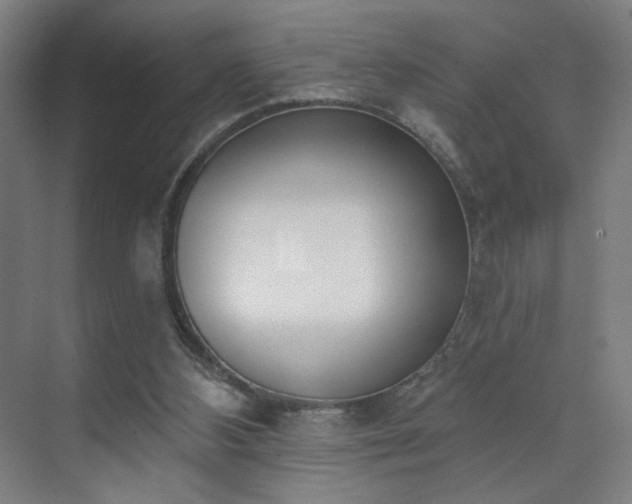 X0000071940108200607141443