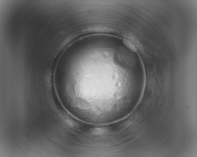 X0000071940111200607141443