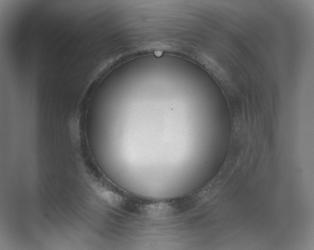 X0000071940112200607141443