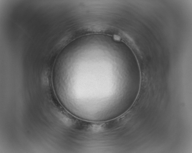 X0000071940114200607141443