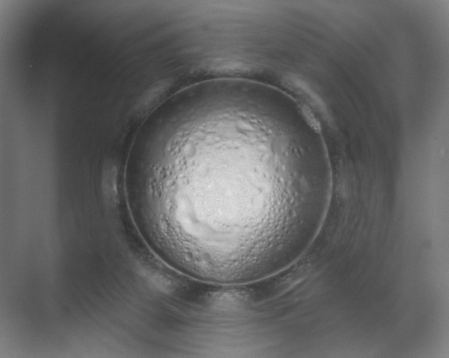 X0000071940115200607141443