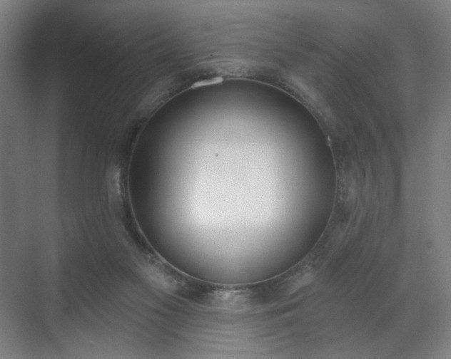 X0000071940117200607141443