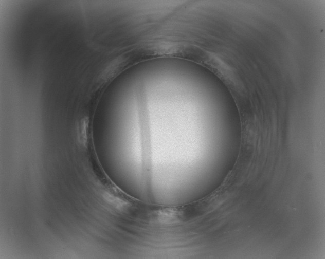 X0000071940118200607141443