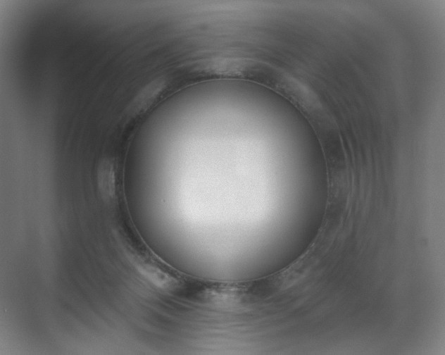 X0000071940120200607141443