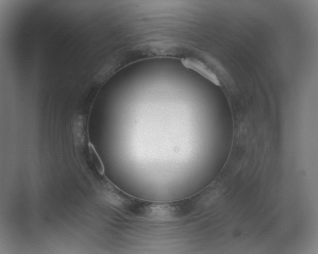 X0000071940121200607141443