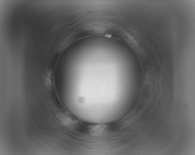 X0000071940122200607141443