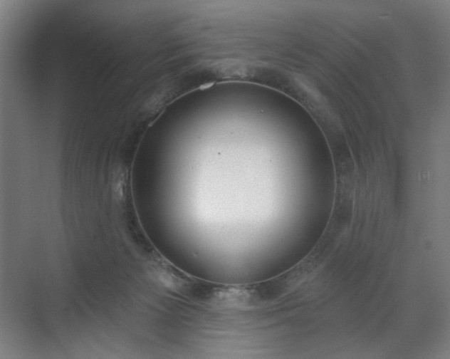 X0000071940125200607141443