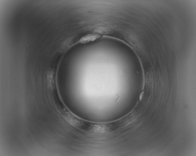 X0000071940127200607141443
