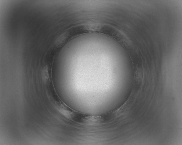X0000071940128200607141443