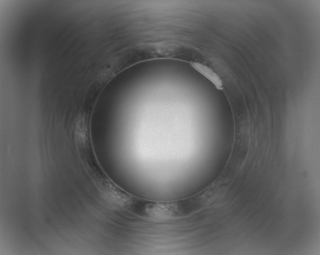 X0000071940129200607141443