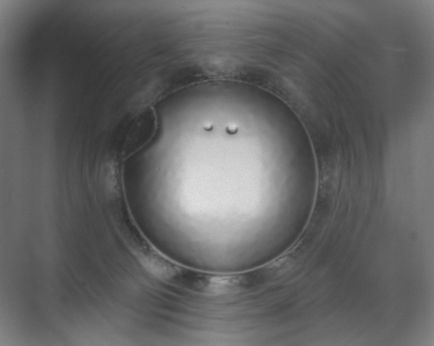 X0000071940130200607141443