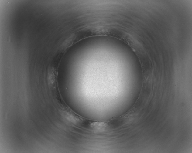 X0000071940133200607141443