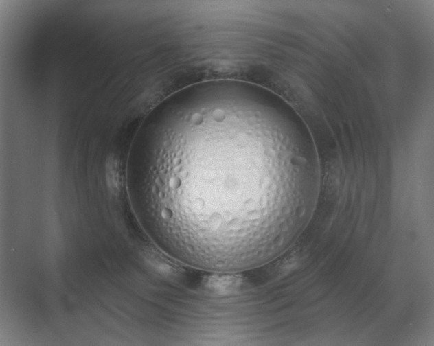 X0000071940135200607141443