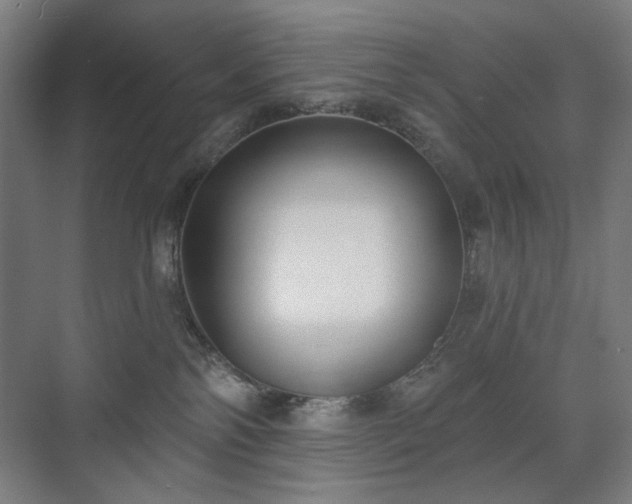 X0000071940138200607141443