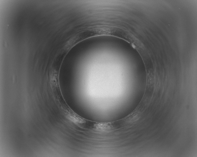 X0000071940141200607141443