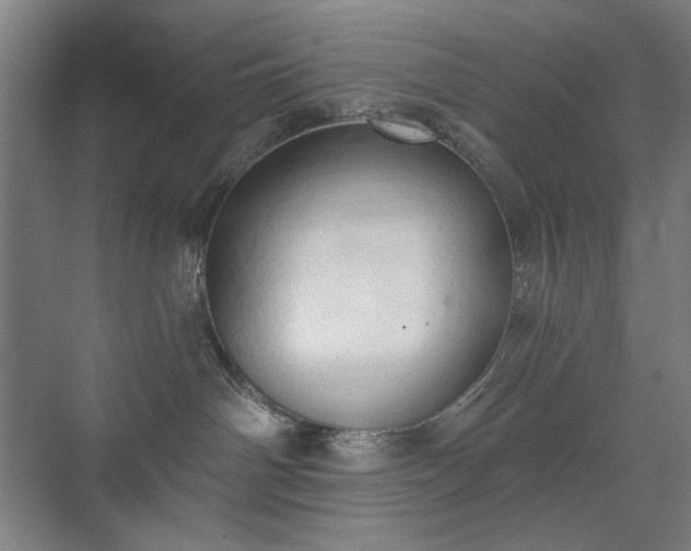 X0000071940142200607141443