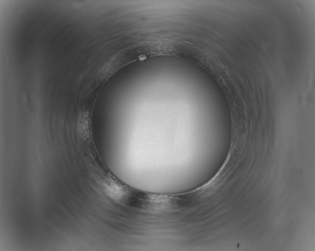 X0000071940144200607141443