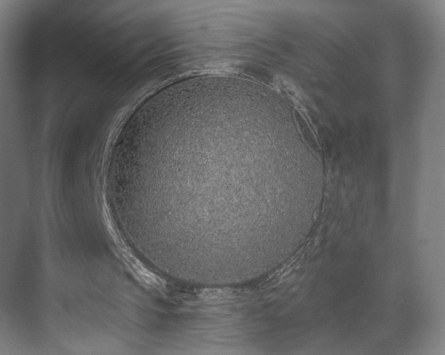 X0000071940145200607141442