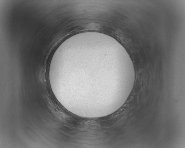 X0000071940146200607141442