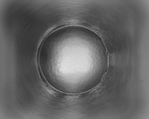 X0000071940147200607141442
