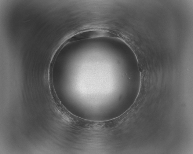 X0000071940148200607141442