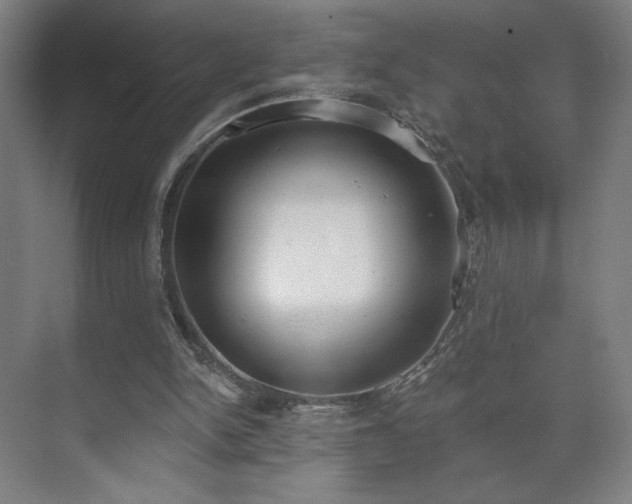 X0000071940150200607141442