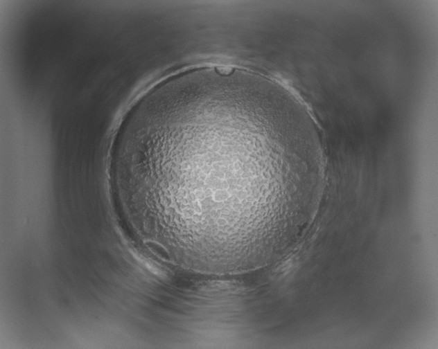 X0000071940151200607141442