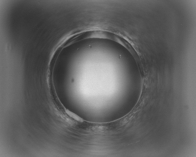 X0000071940152200607141442
