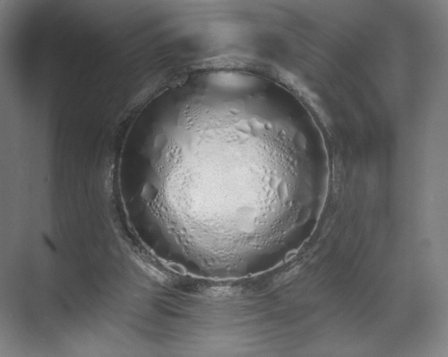 X0000071940153200607141442
