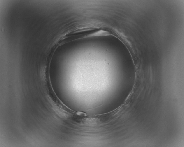 X0000071940154200607141442