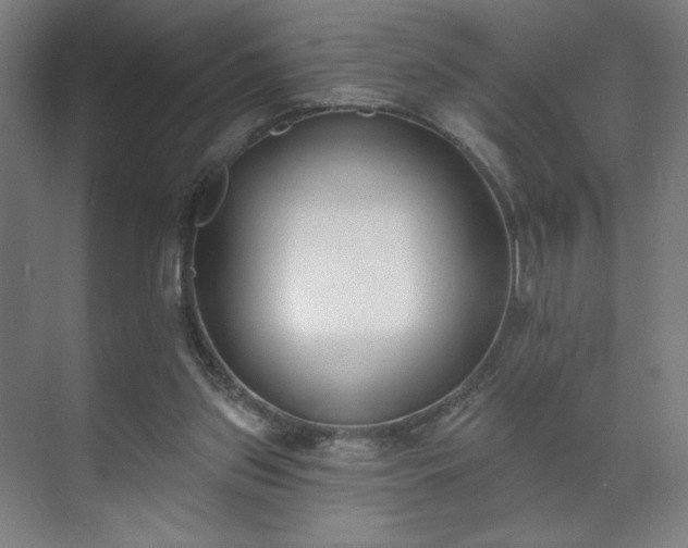 X0000071940157200607141442