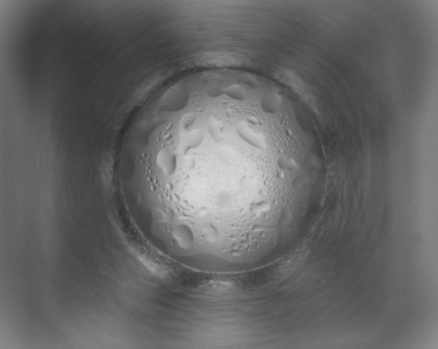 X0000071940159200607141442
