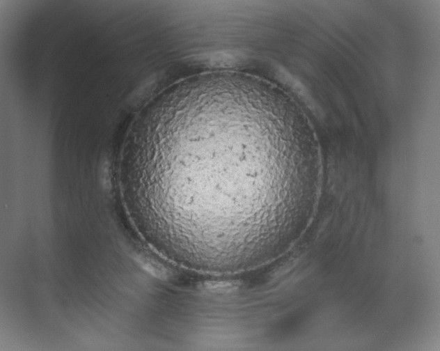 X0000071940161200607141442